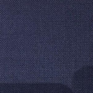 Caccioppoli 300159.jpeg