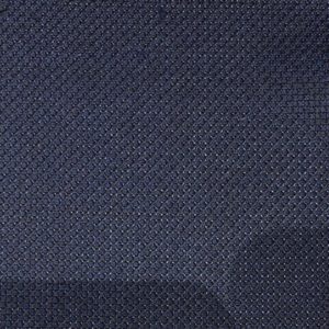 Caccioppoli 300161.jpeg