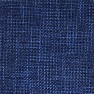 Caccioppoli 300165.jpeg