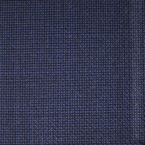 Caccioppoli 300168.jpeg