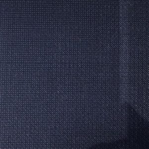 Caccioppoli 300169.jpeg